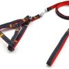 CuteBone Adjustable Dog Leash Harness - Collar Set Heavy Duty Denim Harness Leash Set for Large Medium Small Dog’s Training & Everyday Walking GS01 - 1