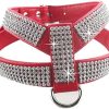DOGGYZSTYLE Bling Rhinestone PU Leather Pet Puppy Small Dog Collar Harness Leash Chihuahua Teacup Care for Girls & Boys b(Red,XS) - 1