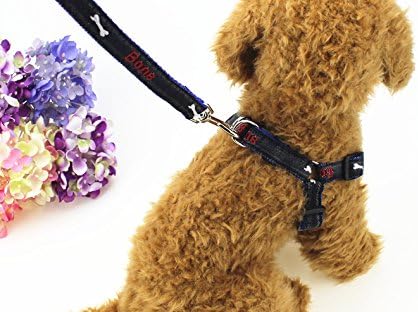 Fast and Good Dog Leash Harness, Adjustable and Heavy Duty Durable Denim Dog Leash Collar for Training Walking Running - 2