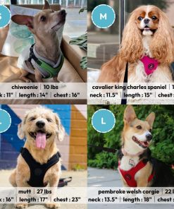 Gooby Escape Free Sport Dog Harness for Dogs that Pulls and Escapes-6