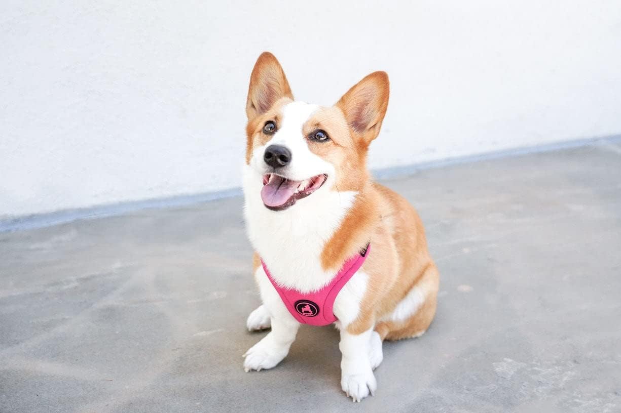 Gooby Escape Free Sport Dog Harness for Dogs that Pulls and Escapes-7