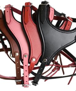 Leather Dog Harness, Felt Padded, X Small, Red, Argentinean Leather (Malibu) For X Small breeds. Neck sizes- 6-9.5.Chest- 12- 14.5-2
