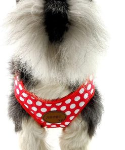 SMALLLEE_LUCKY_STORE New Soft Mesh Nylon Vest Pet Cat Small Medium Dog Harness Dog Leash Set Leads Red S - 7
