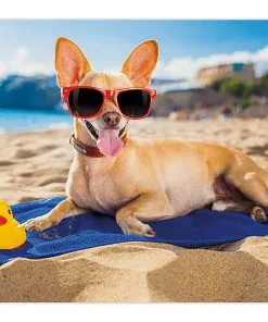 Funny Pet Mats for Food and Water by Lunarable, Chihuahua Dog at the Ocean Shore Sunbathing Smiling Coastal Charm Print, Rectangle Non-Slip Rubber Mat for Dogs and Cats, Sand Brown Light Blue