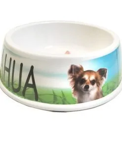I Love My Chihuahua Dog Bowl, 8-inch 2