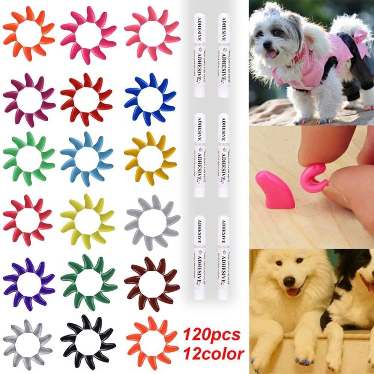 40Pack Soft Nail Caps For Dogs Claws BLACK Purrdy Paws