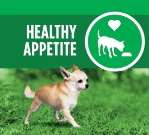 Iams ProActive Health Adult Chihuahua Dry Dog Food, Chicken Flavor, 7 Pound Bag 3