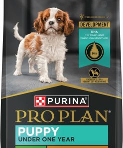 Purina Pro Plan FOCUS Puppy Small Breed Chicken & Rice Formula Dry Dog Food - (1) 18 lb. Bag