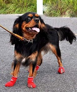 Traction Control Cotton Socks Indoor Dog Nonskid Knit Socks 5 Pairs Random Color - 9