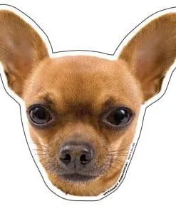 Chihuahua Magnet