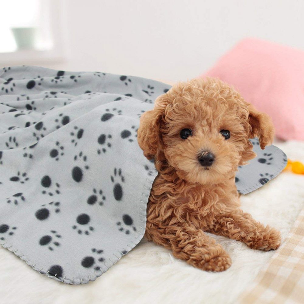 AK KYC 3 Pack 40 x 28 '' Puppy Blanket Cushion Dog Cat Fleece Blankets