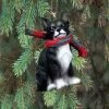 Chihuahua Miniature Dog Ornament - Tri Color