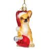 Kurt Adler 3 5" Glass Chihuahua W c7 Bulb Ornament