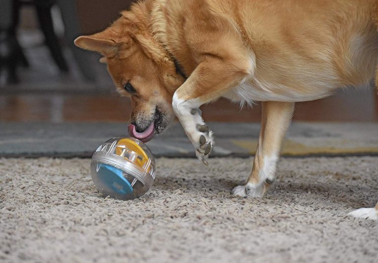 Pet Zone IQ Treat Ball, 3Inch Chihuahua Kingdom