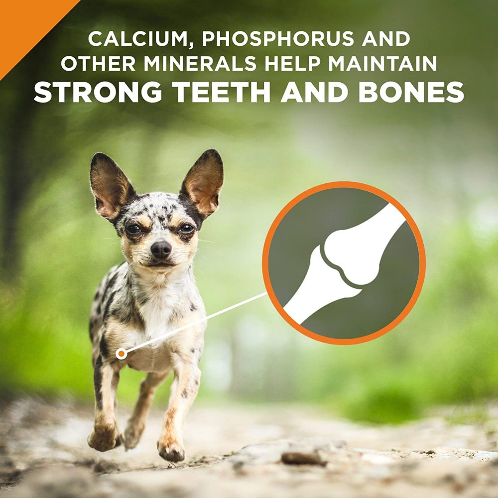 Purina Pro Plan Small & Toy Breed Formula Adult Dry Dog Food