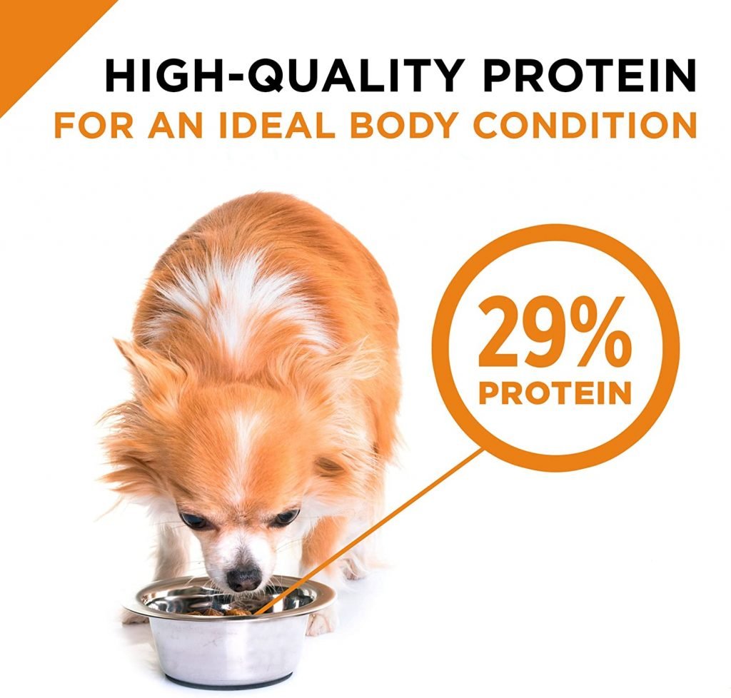 Purina Pro Plan Small & Toy Breed Formula Adult Dry Dog Food