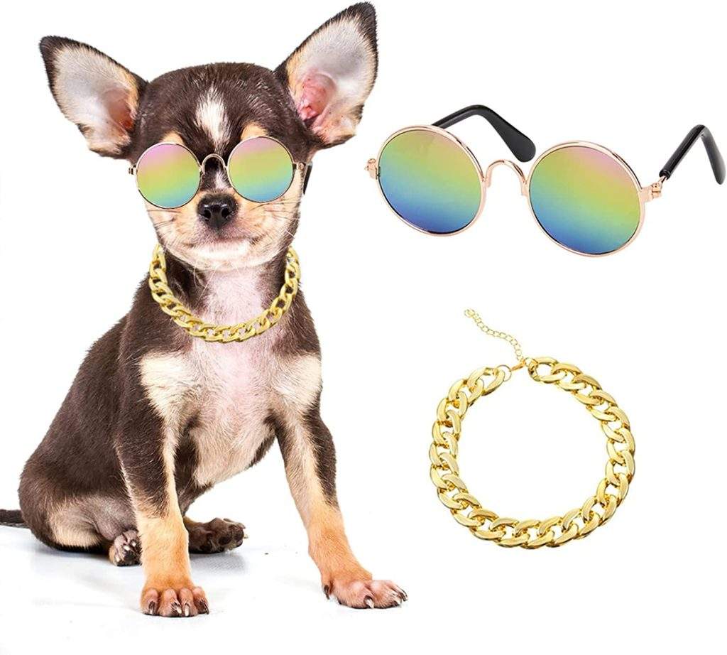Gold Dog Chain Collar Summer Dog Collar Boy,Chihuahua Collar Small, Dog Collar with Sunglasses for Small Dogs, Puppy Collars for Doggie Cat Stainless Steel with Zirconia Link Necklace Chain