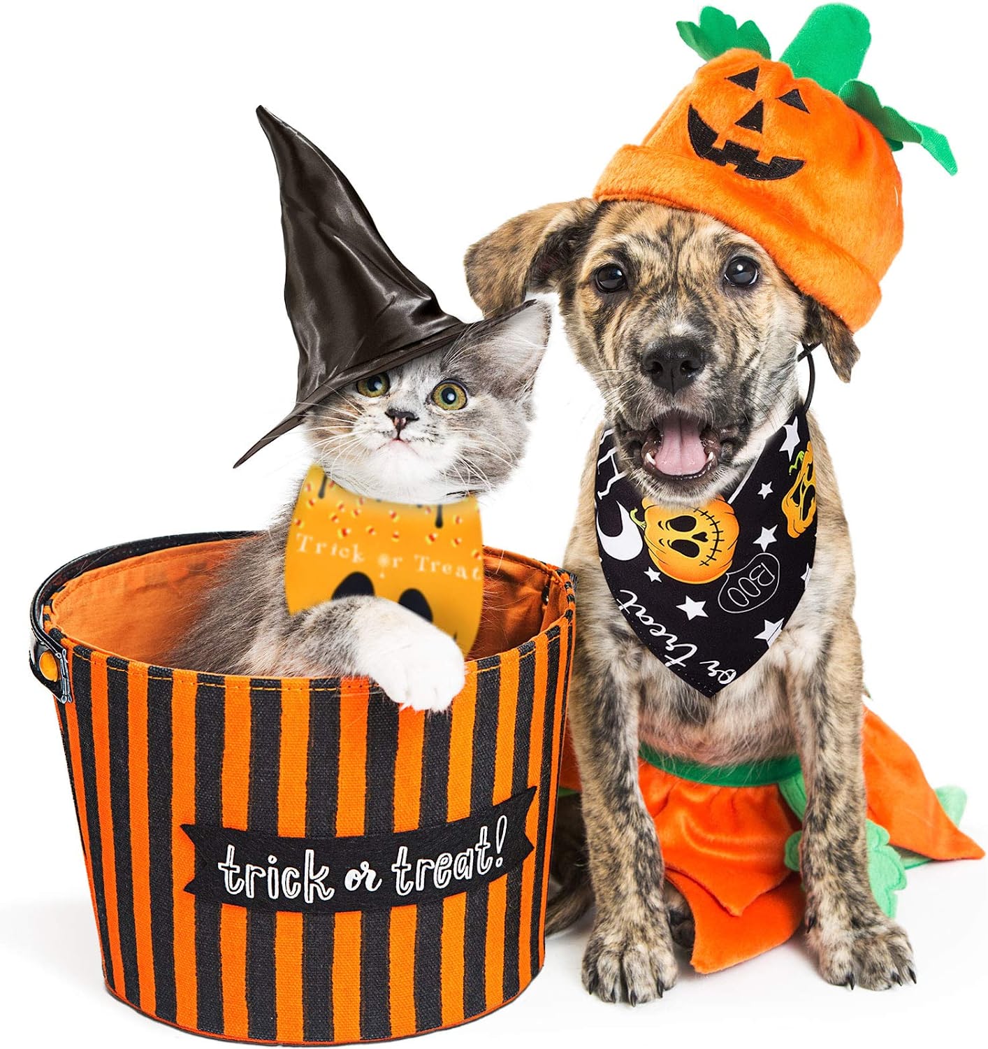 8 Pieces Halloween Dog Bandanas Pumpkin Bat Pet Scarf Dog Triangle Dog Scarf 5