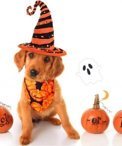 8 Pieces Halloween Dog Bandanas Pumpkin Bat Pet Scarf Dog Triangle Dog Scarf 6