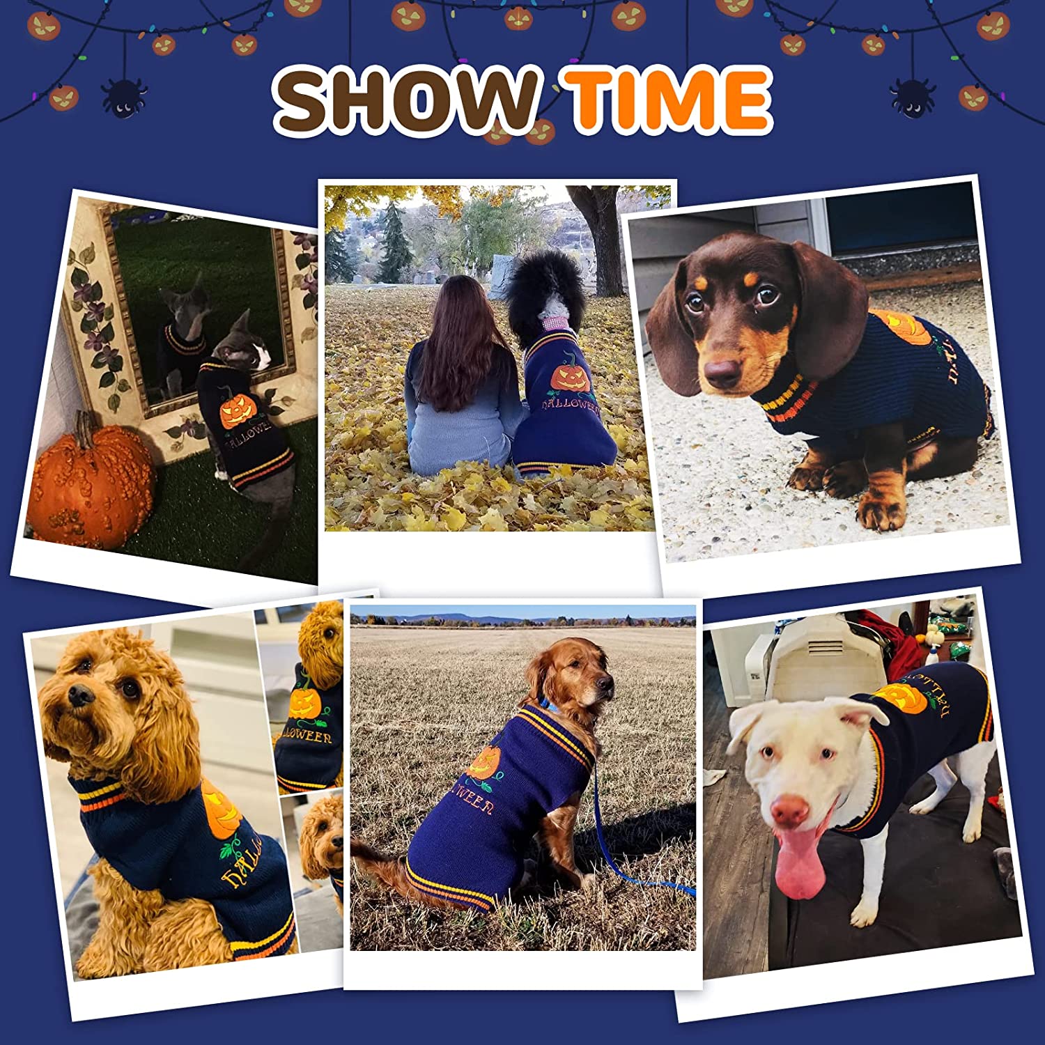DOGGYZSTYLE Dog Halloween Costumes Pumpkin Pet Sweaters Funny Puppy Cat Knitwear Clothes 6