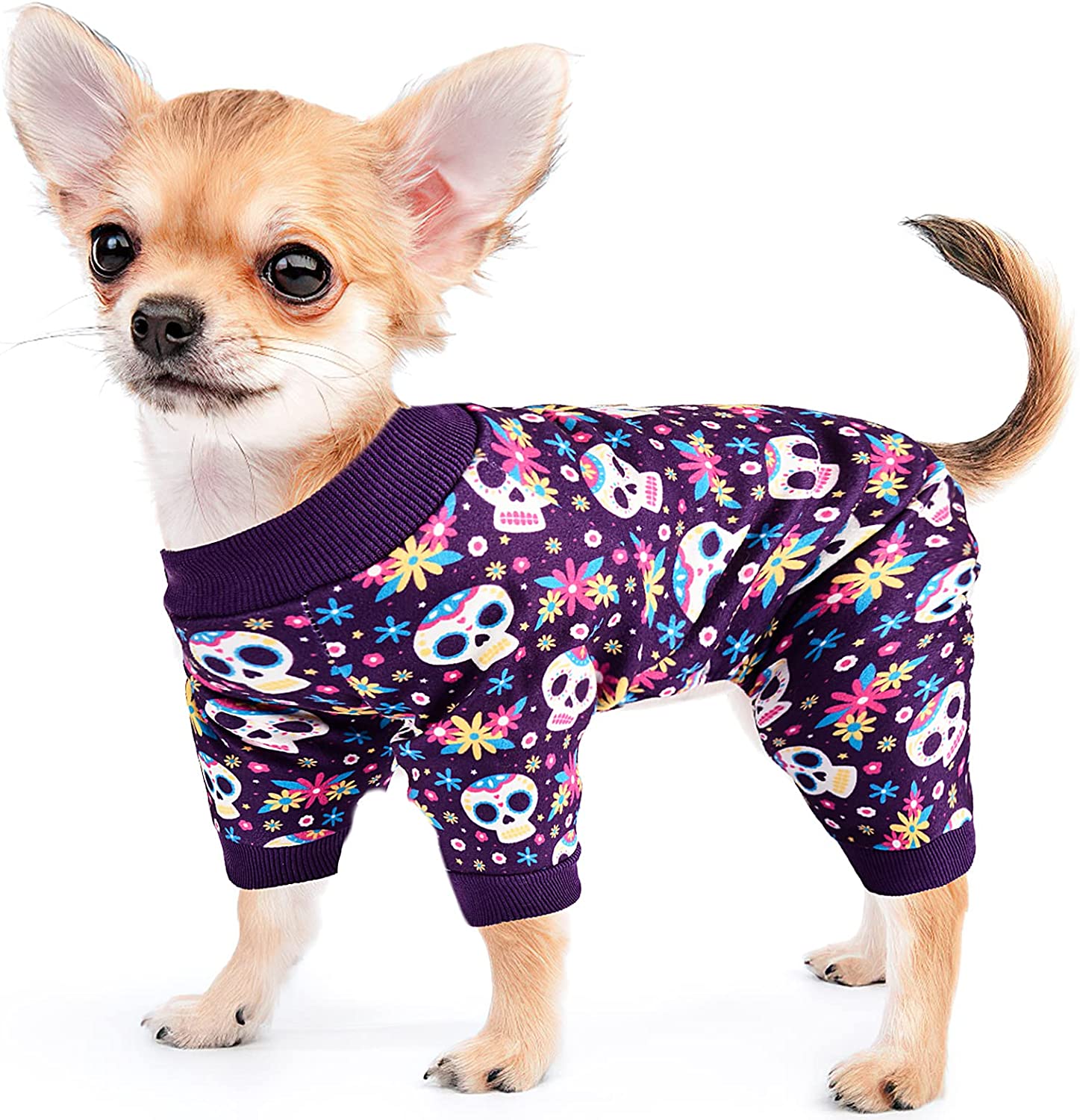 Fall Halloween Skull Dog Pajamas Sweaters Costume, Holiday Dog Sweater 2