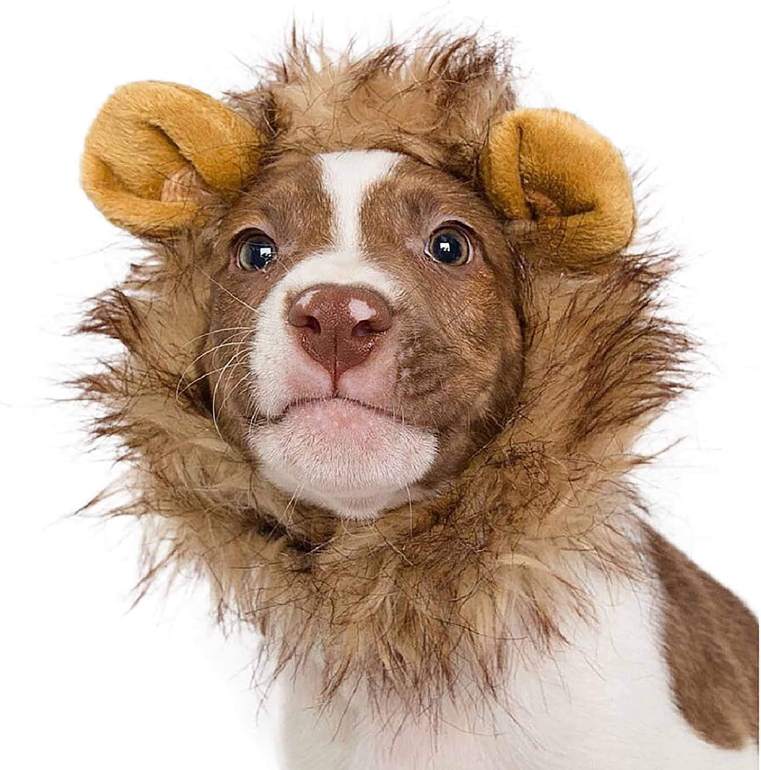 Pet Krewe Dog Lion Mane Halloween Costume 7