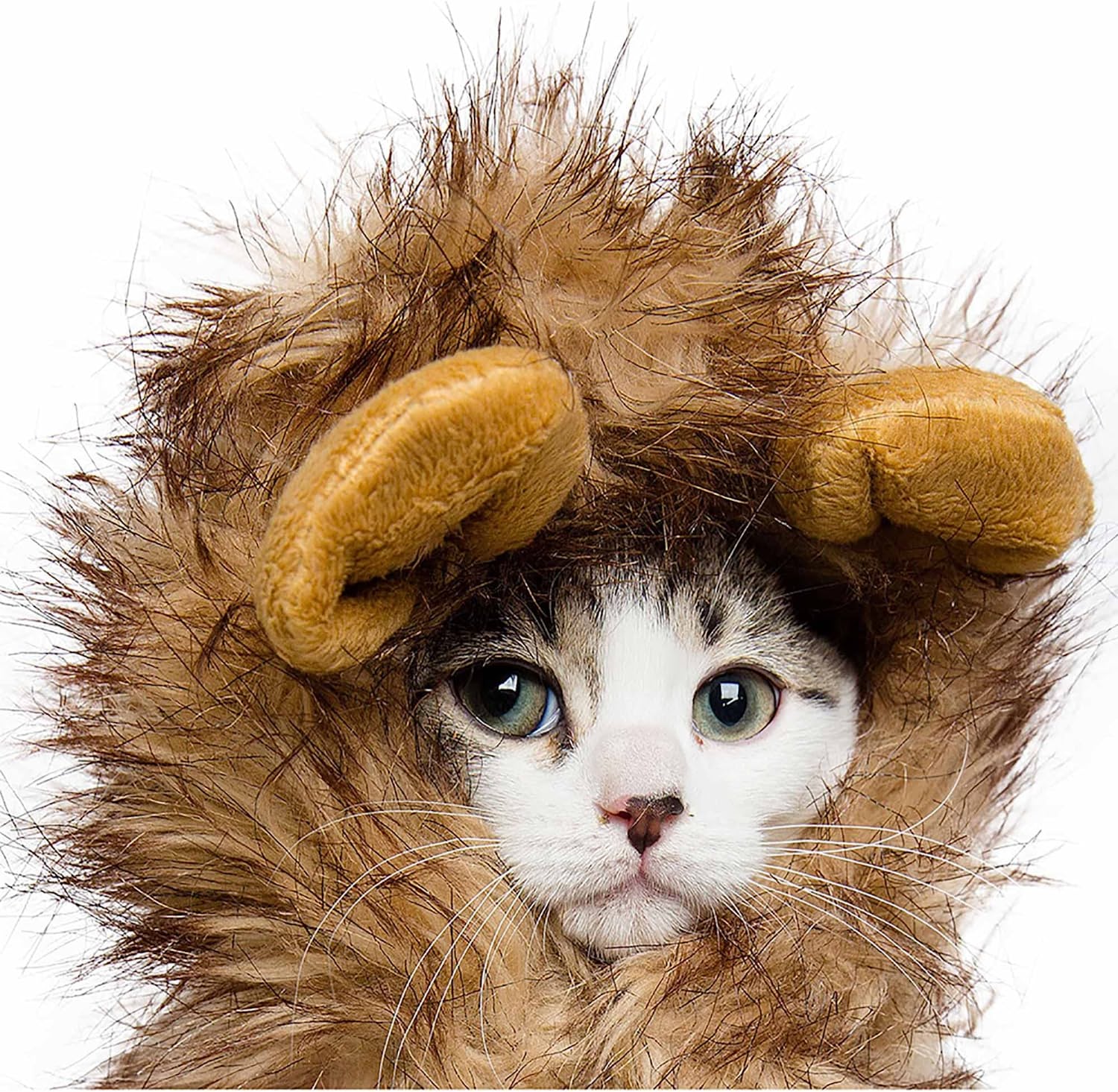 Pet Krewe Dog Lion Mane Halloween Costume 8