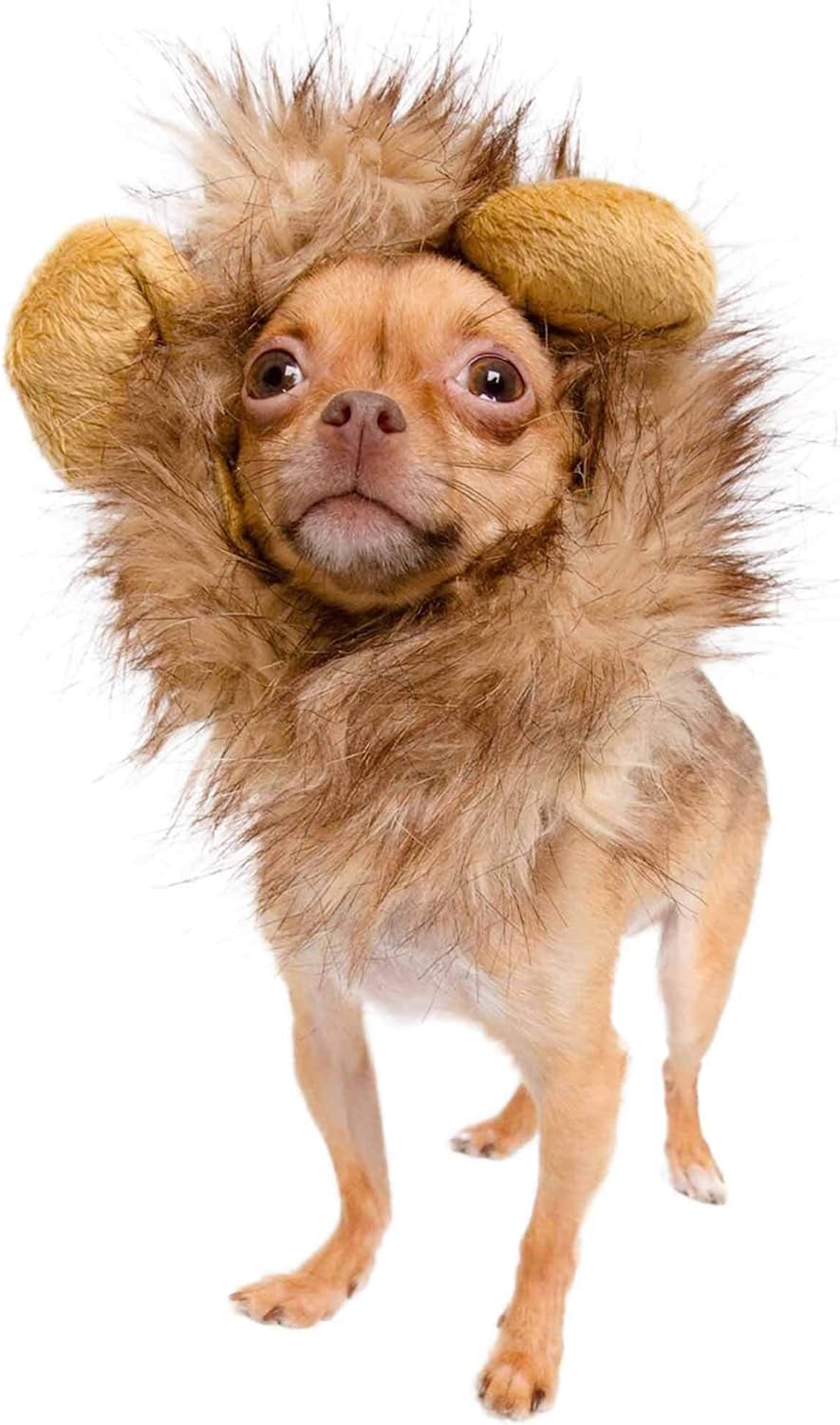 Pet Krewe Dog Lion Mane Halloween Costume