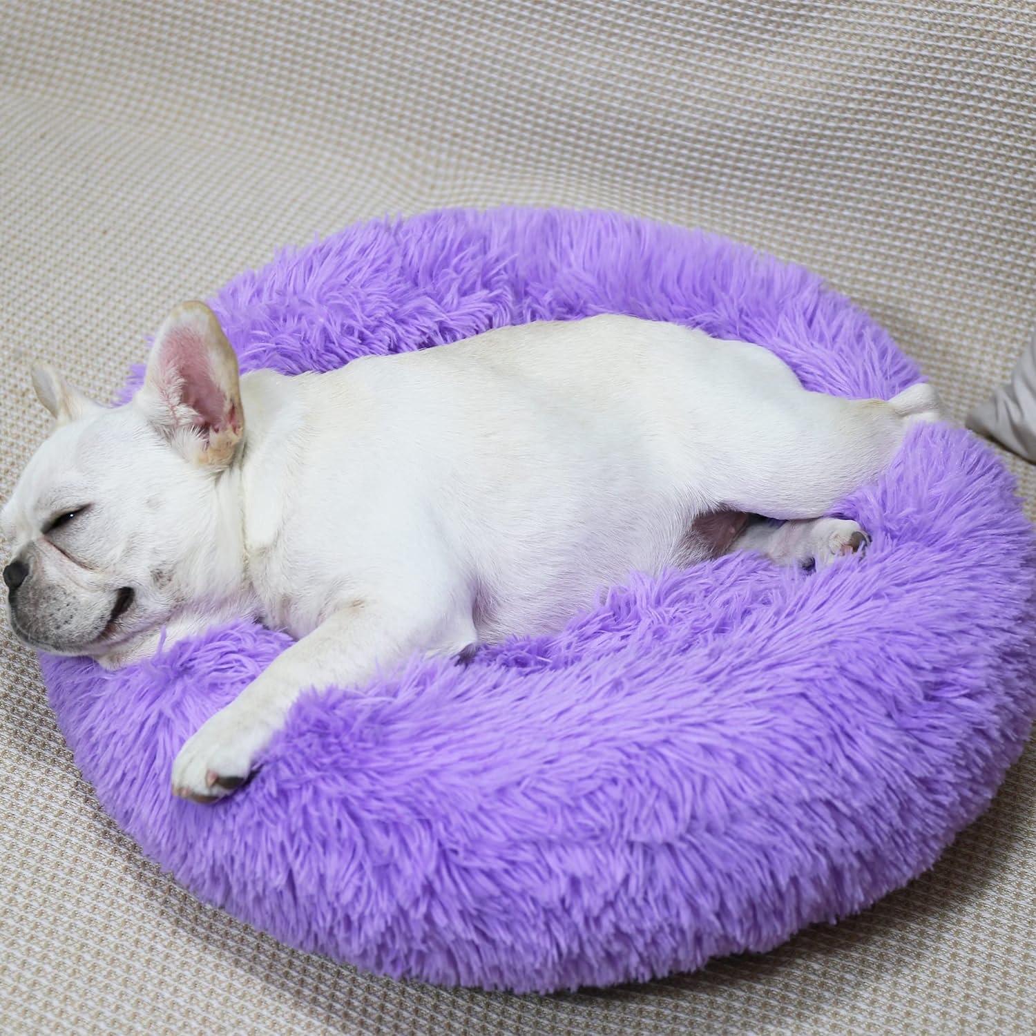Purple Dog Beds for Small Dogs Washable,Calming Dog Bed