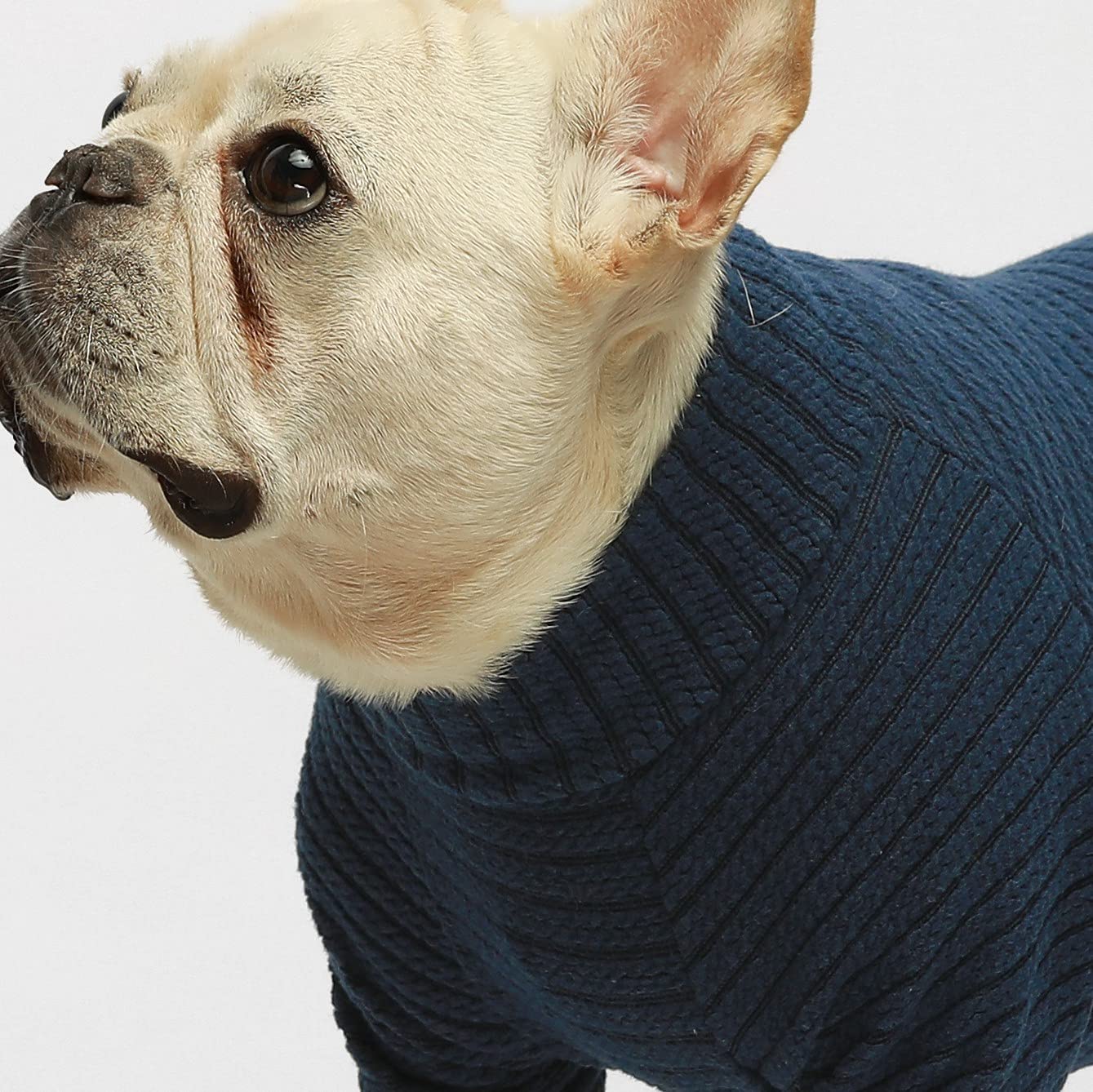 Fitwarm Turtleneck Knitted Dog Sweater Puppy Pajamas Thermal Doggie Winter Clothes Knitwear Pet Coats Cat Apparel 4