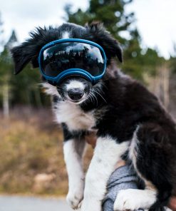 Rex Specs V2 Dog Goggles (X-Small, Neon Green) 3