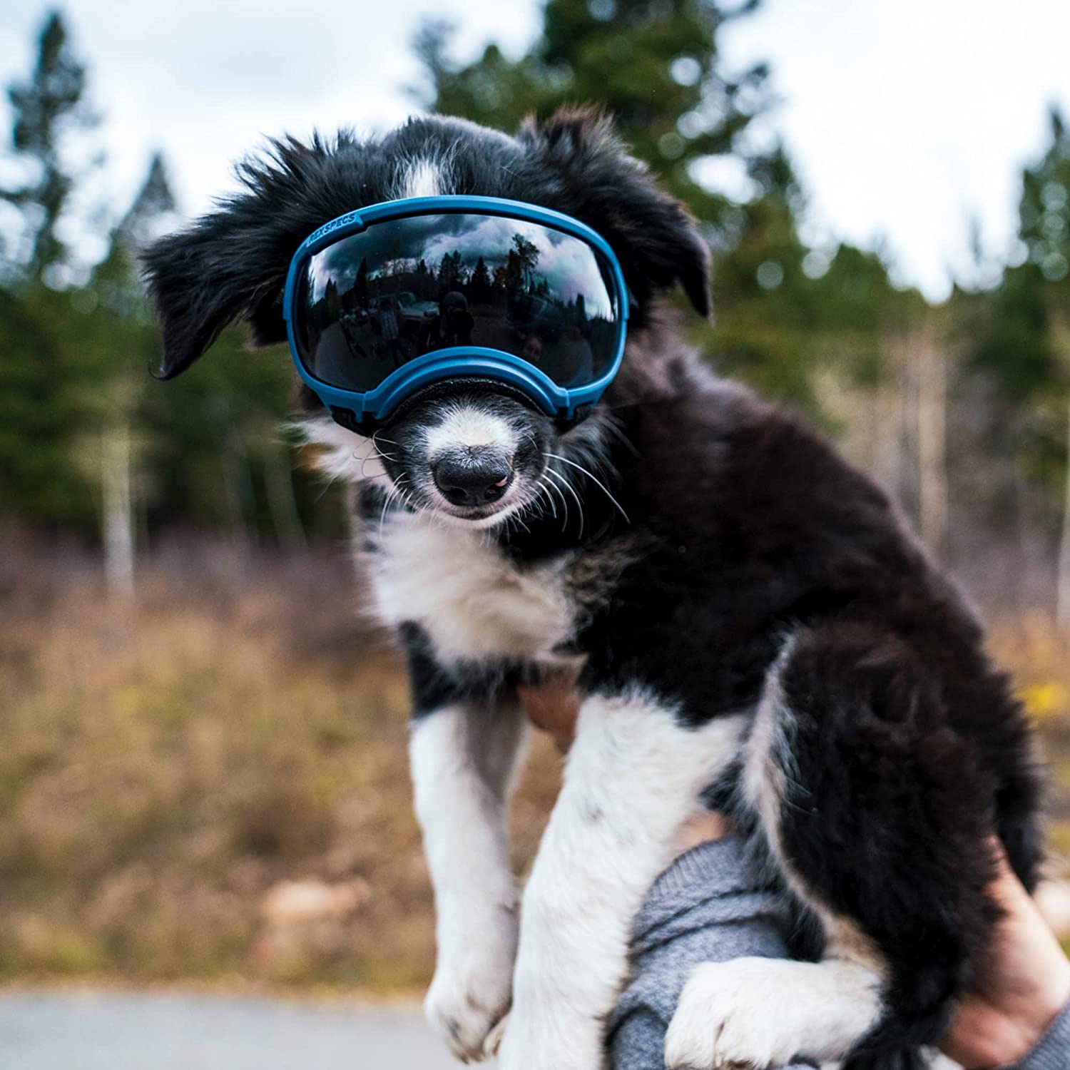 Rex Specs V2 Dog Goggles (X-Small, Neon Green) 3