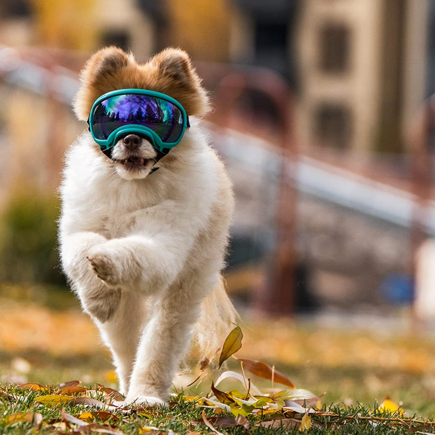 Rex Specs V2 Dog Goggles (X-Small, Neon Green) 4