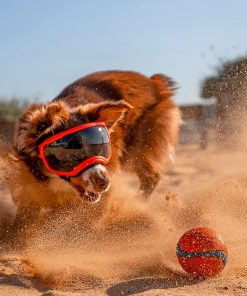 Rex Specs V2 Dog Goggles (X-Small, Neon Green) 5