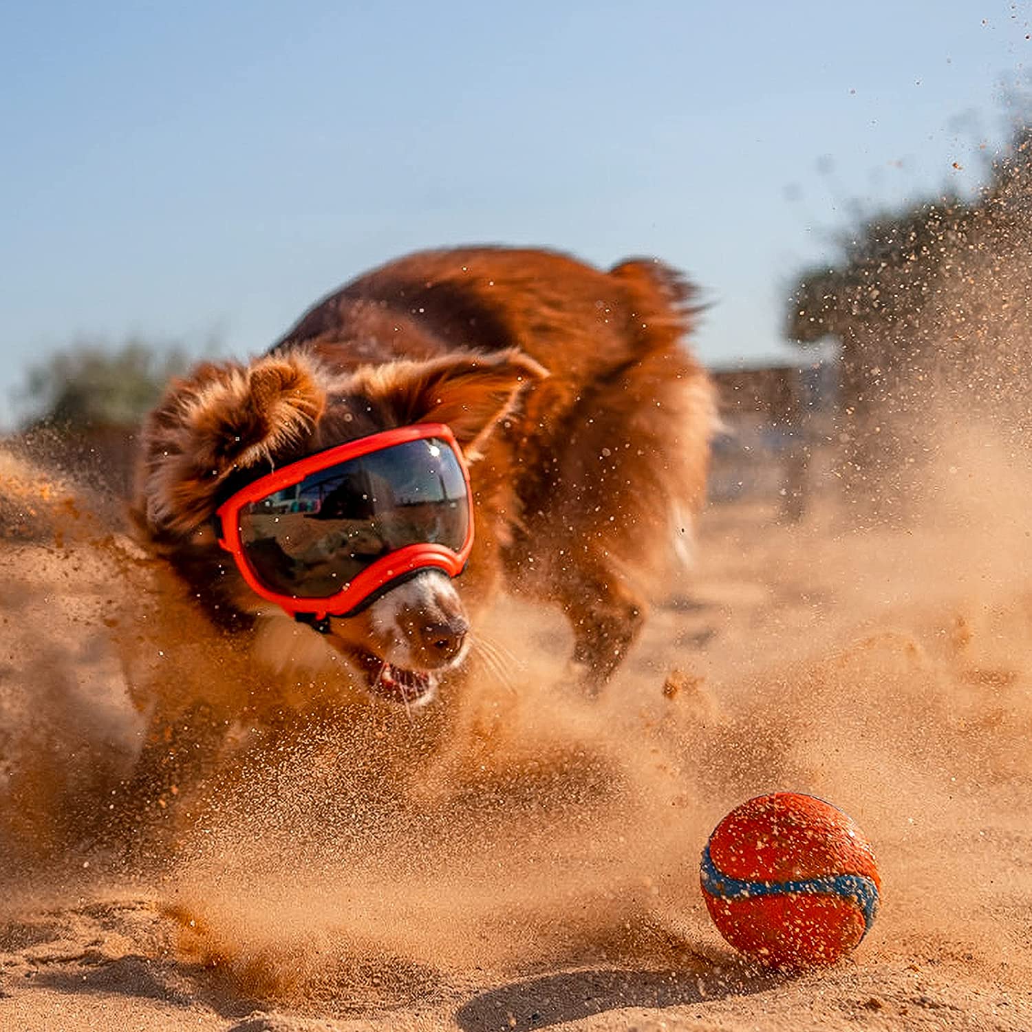 Rex Specs V2 Dog Goggles (X-Small, Neon Green) 5
