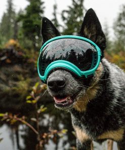 Rex Specs V2 Dog Goggles (X-Small, Neon Green) 7