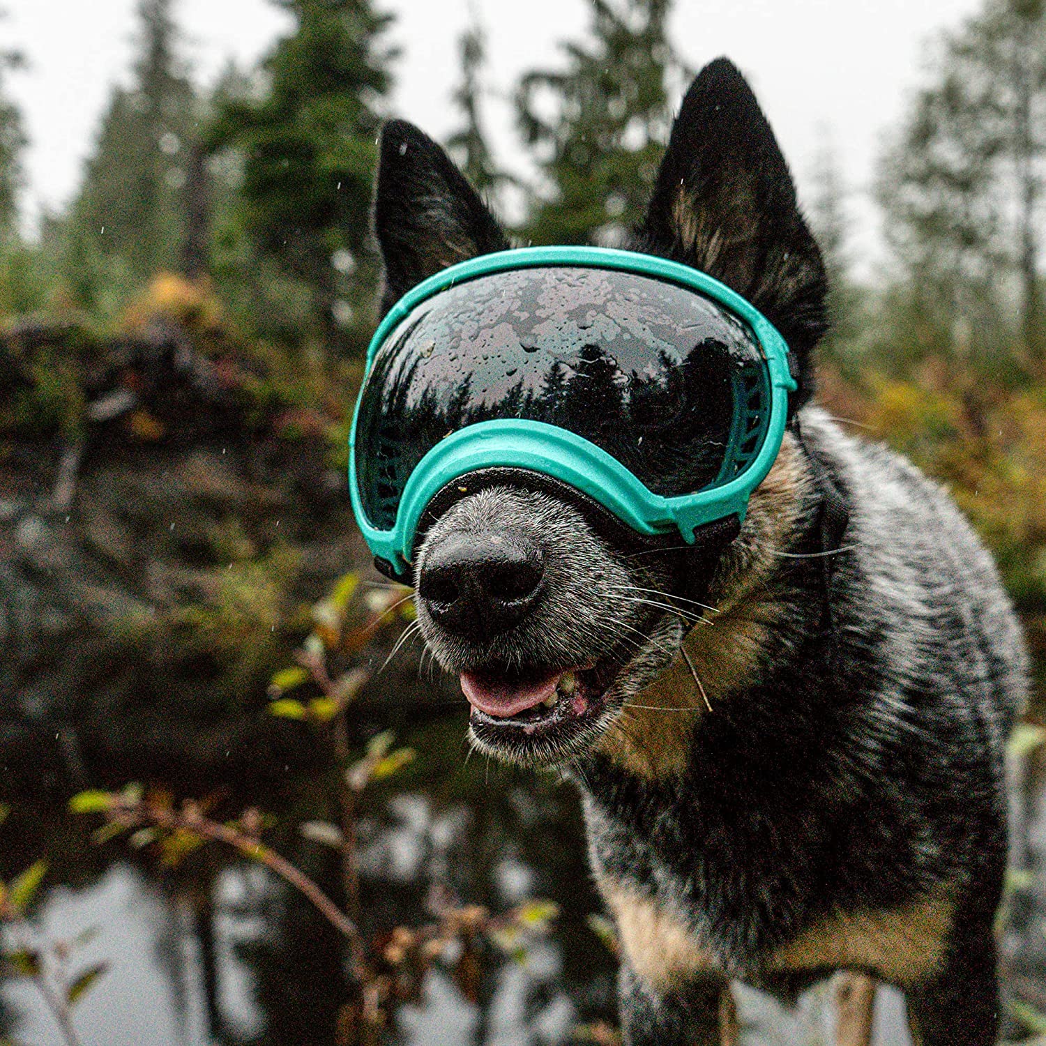 Rex Specs V2 Dog Goggles (X-Small, Neon Green) 7