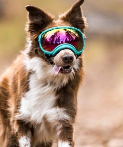 Rex Specs V2 Dog Goggles (X-Small, Neon Green) 8