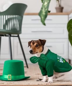Pedgot 2 Pieces St. Patrick's Day Pet Shirts Dog Clothes Green Clover Puppy T-Shirt Shamrock Dog Sweatshirt 5