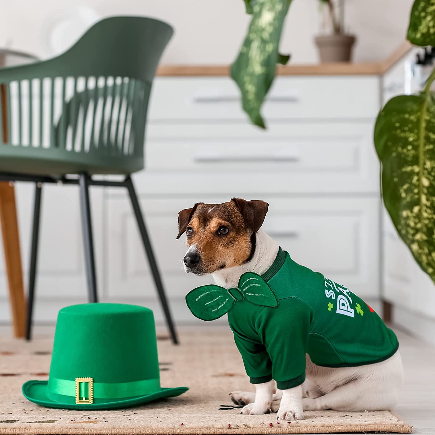 Pedgot 2 Pieces St. Patrick's Day Pet Shirts Dog Clothes Green Clover Puppy T-Shirt Shamrock Dog Sweatshirt 5