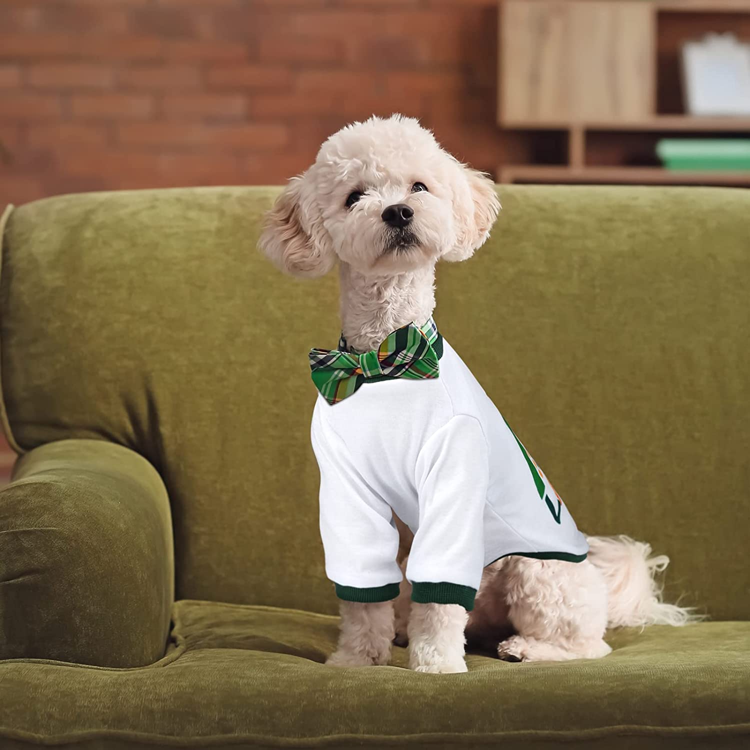 Pedgot 2 Pieces St. Patrick's Day Pet Shirts Dog Clothes Green Clover Puppy T-Shirt Shamrock Dog Sweatshirt 6