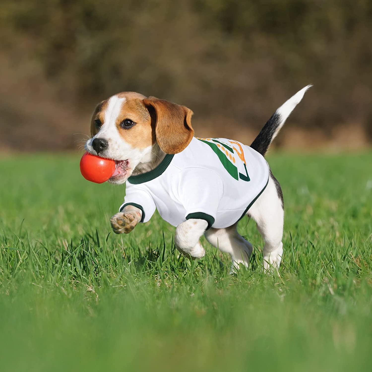 Pedgot 2 Pieces St. Patrick's Day Pet Shirts Dog Clothes Green Clover Puppy T-Shirt Shamrock Dog Sweatshirt 7