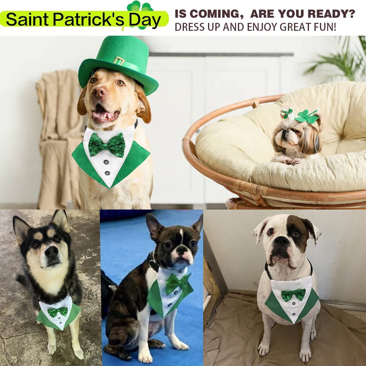 St.Patrick's Day Dog Tuxedo, Pet Green Collar Costume, Puppy Formal Bandana with Bow Tie Adjustable Scarf 4