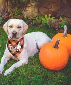 ADOGGYGO Halloween Dog Bandanas, Classic Plaid Dog Scarf Bib, Premium Cotton Fabric, Multiple Sizes Offered, Halloween Bandanas for Small Medium Dogs Pets 2