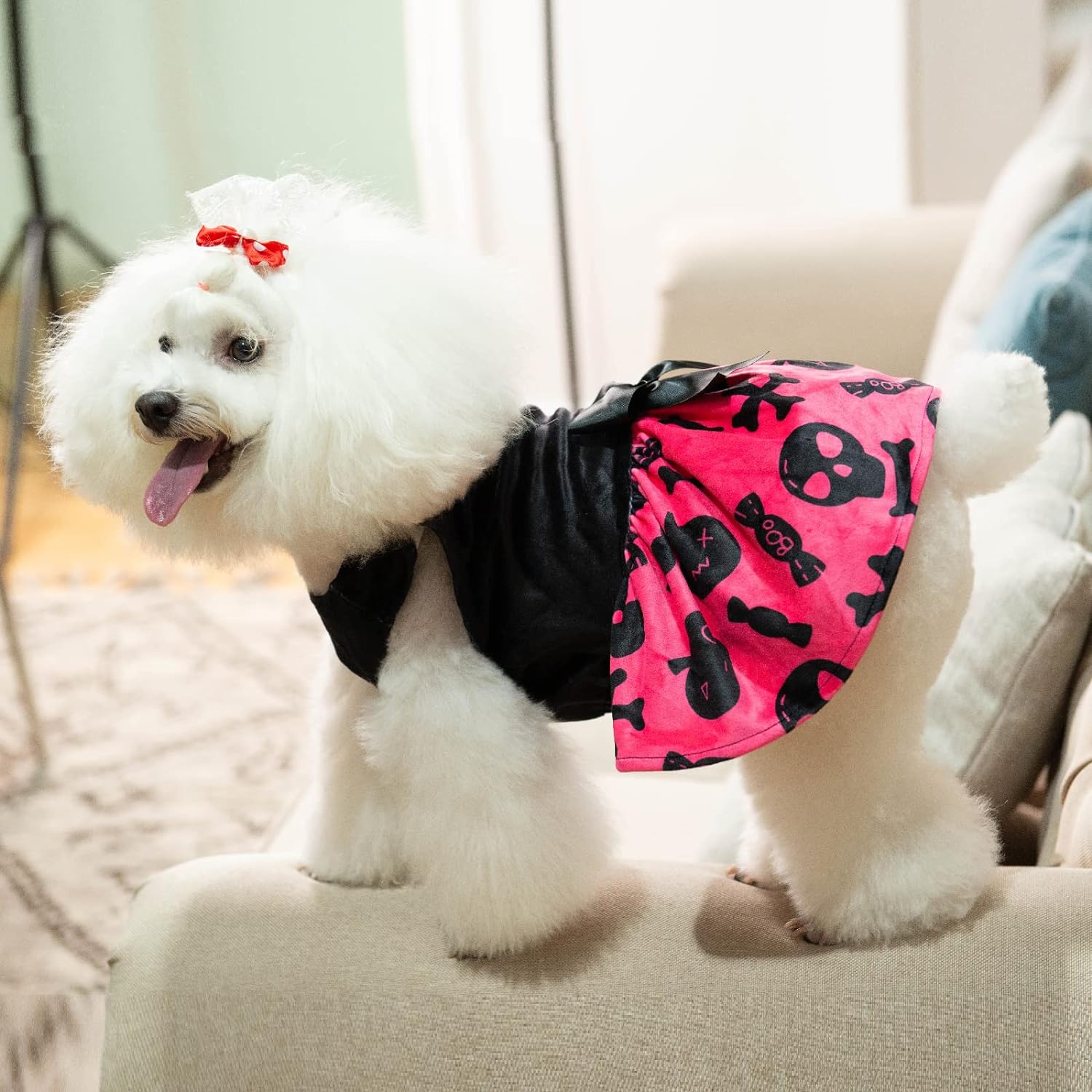 CuteBone Halloween Skulls Dog Dress Velvet for Small Dogs Girl Puppy Dresses Pink Dog Clothes CVA02XXS-D 5