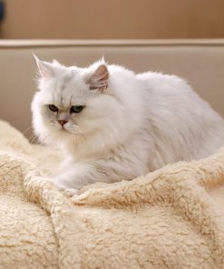 Premium Fleece Dog Blanket Soft Pet Sherpa Calming Blankets Throw for Dog Puppy Cat, Beige Small (20x30) 3