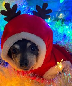 Dog Christmas Costumes, Pet Cold Weather Sweater Coat, Puppy Santa Claus Reindeer Outfit Winter Hoodie Warm Vest Clothes, Jumpsuit Apparel 7