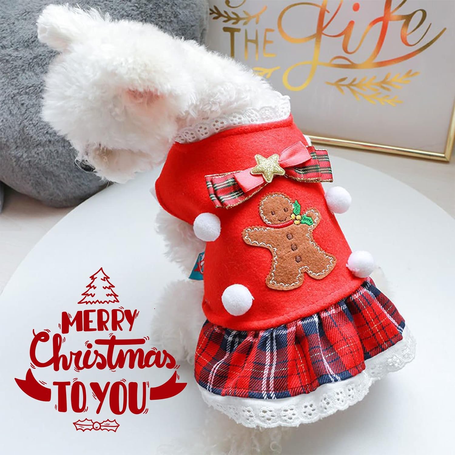TENGZHI Christmas Dresses for Small Medium Dogs Cats Fall Winter New Year Xmas Dog Skirt Cute Gingerbread Man Red Plaid Puppy Outfit Chihuahua Yorkie 6