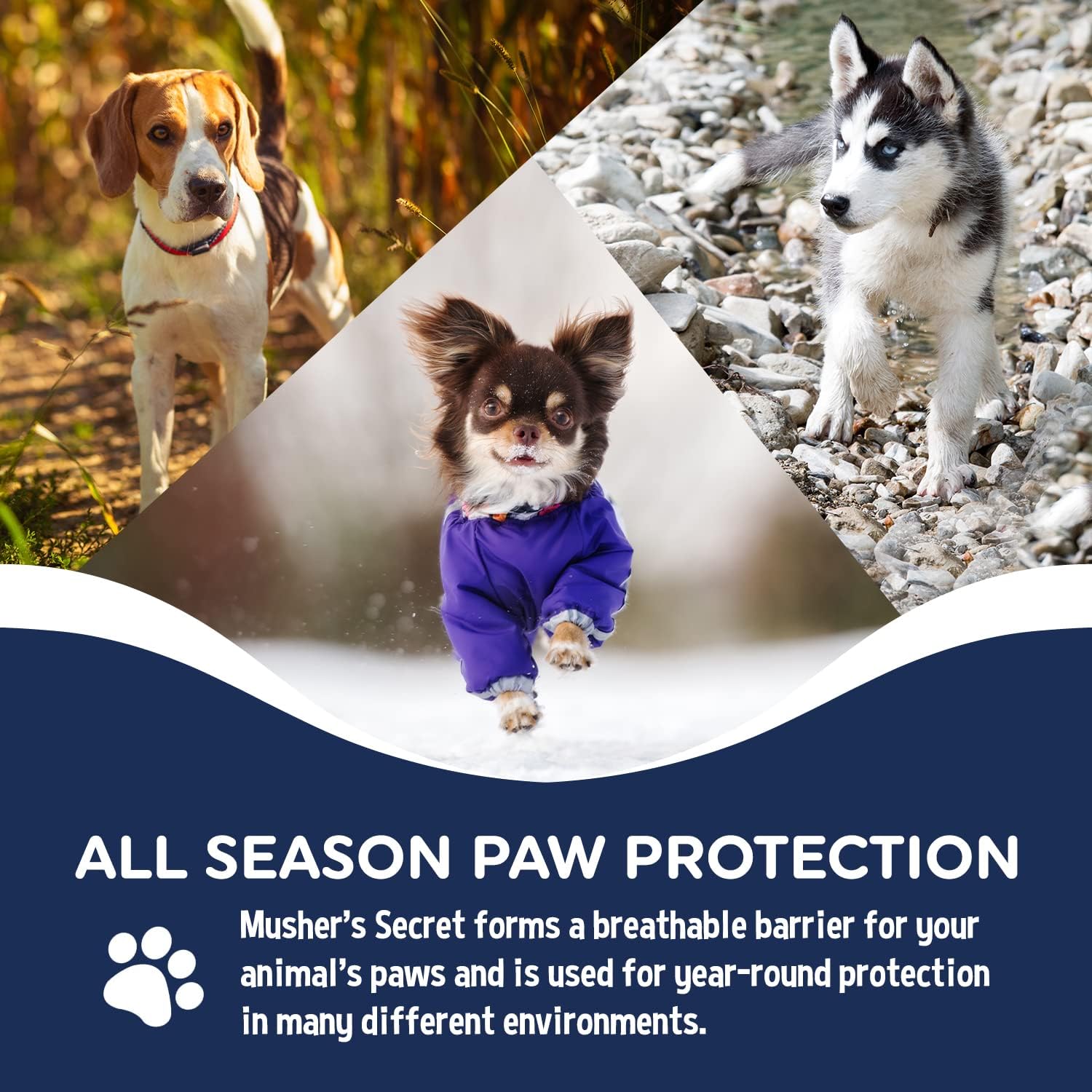 Musher's Secret Dog Paw Wax 200 g (7oz) - Moisturizing Dog Paw Balm that Creates an Invisible Barrier That Protects and Heals Dry Cracked Paws 4