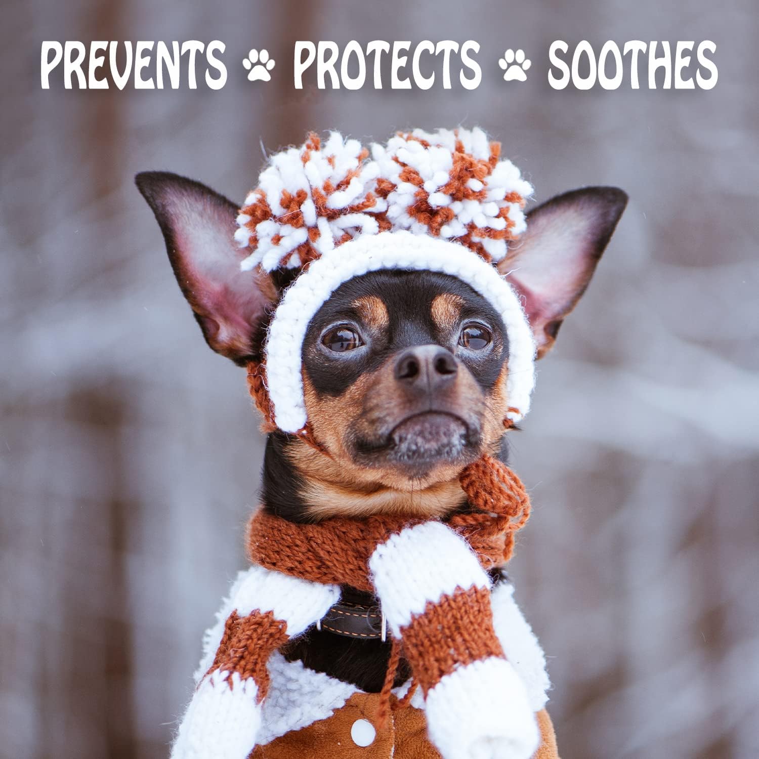 Musher's Secret Dog Paw Wax 200 g (7oz) - Moisturizing Dog Paw Balm that Creates an Invisible Barrier That Protects and Heals Dry Cracked Paws 5